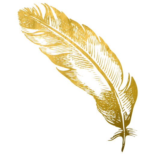 Vector Feather PNG Free Download