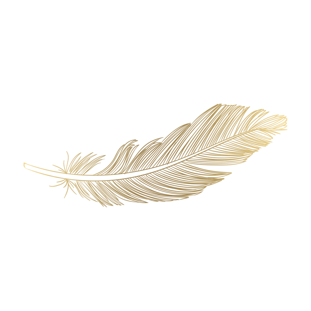 Vector Feather PNG Image
