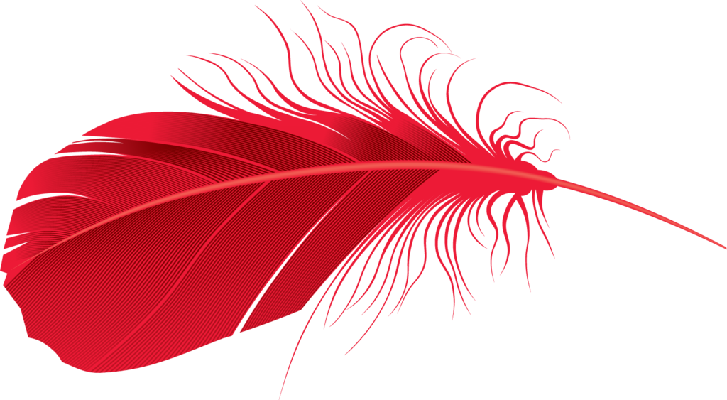Vector Feather PNG Transparent Image