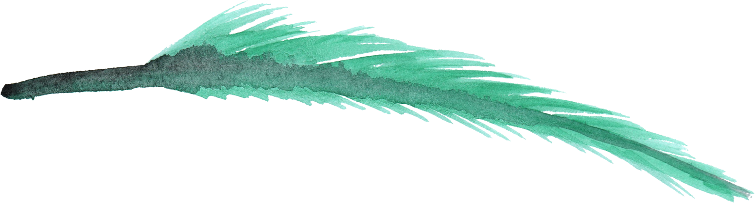 Vector Feather PNG Transparent