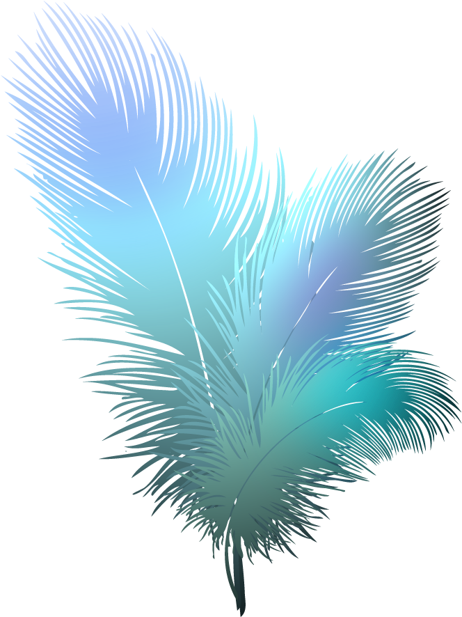 Vector Feather Transparent Background