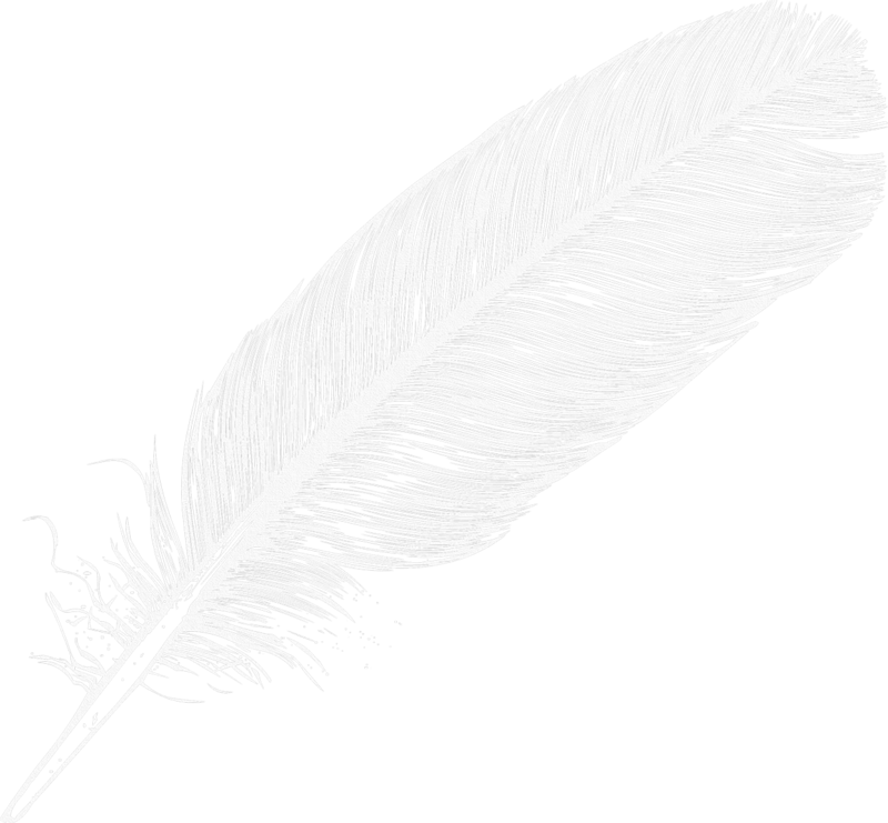 Vector Feather Transparent PNG