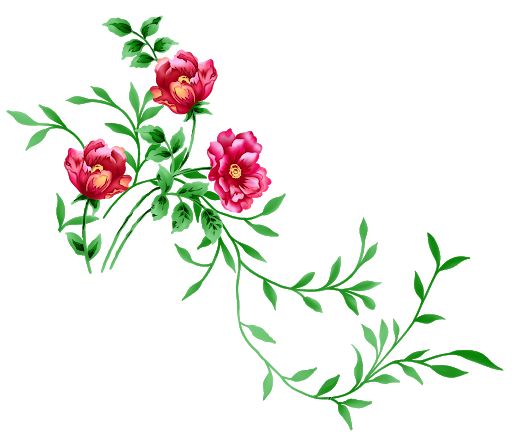 Vector Oeuvre de fleurs PNG Transparent Image