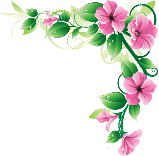 Vector Flower Artwork Transparent Background