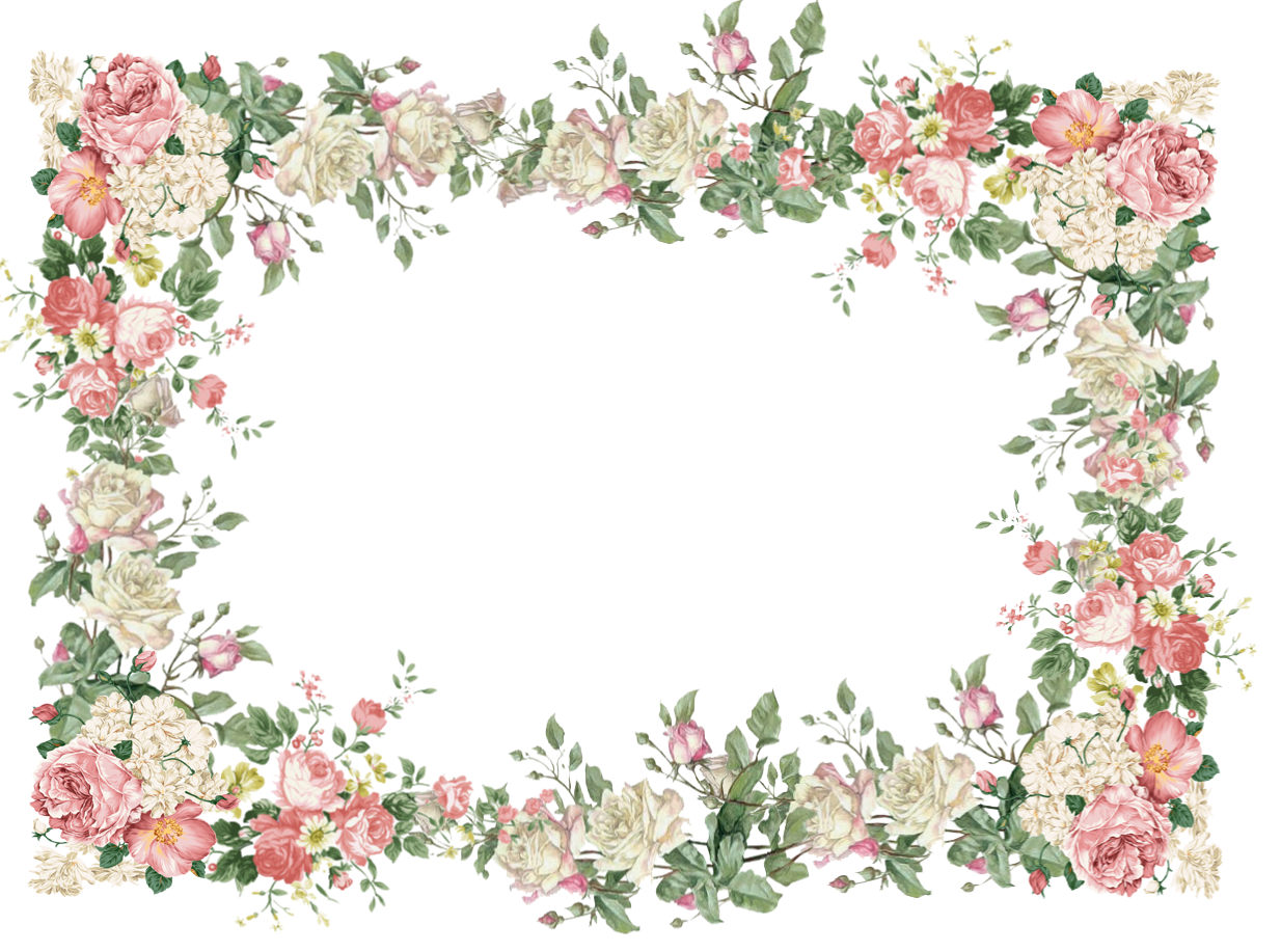 Vector flores marco PNG
