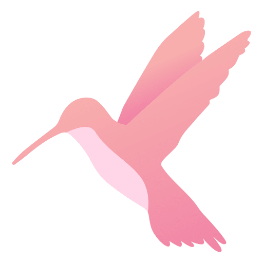 Vector Flying Hummingbird PNG File