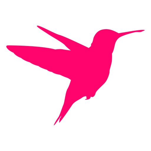 Vektor fliegende Kolibri-PNG-Bild