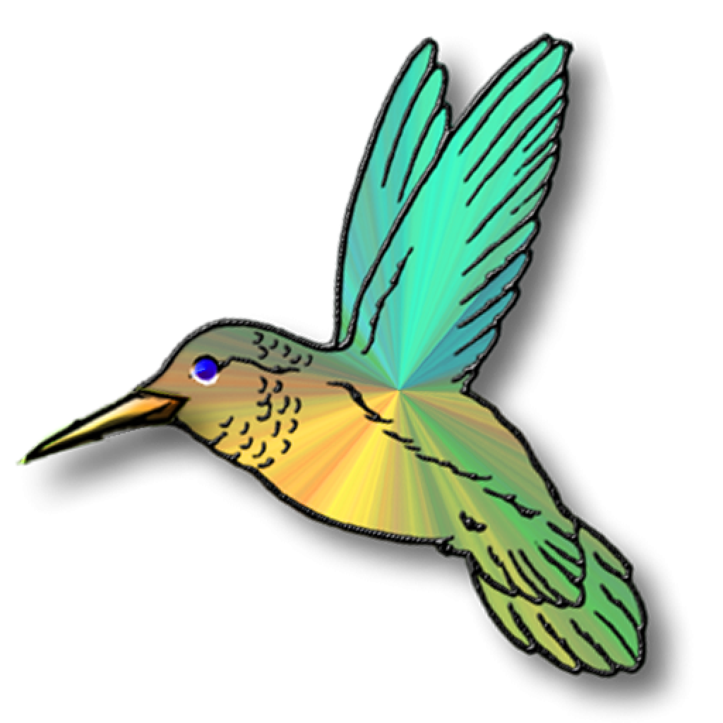 Vector Flying Hummingbird Transparent PNG