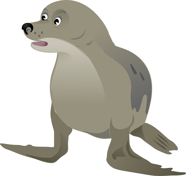Vector Harbor Seal Transparent PNG