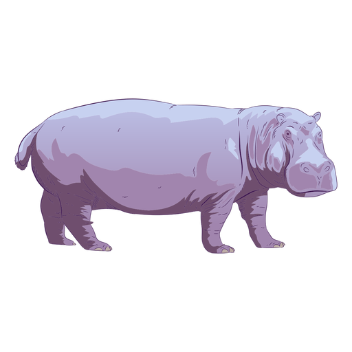 Vector Hippo PNG Clipart