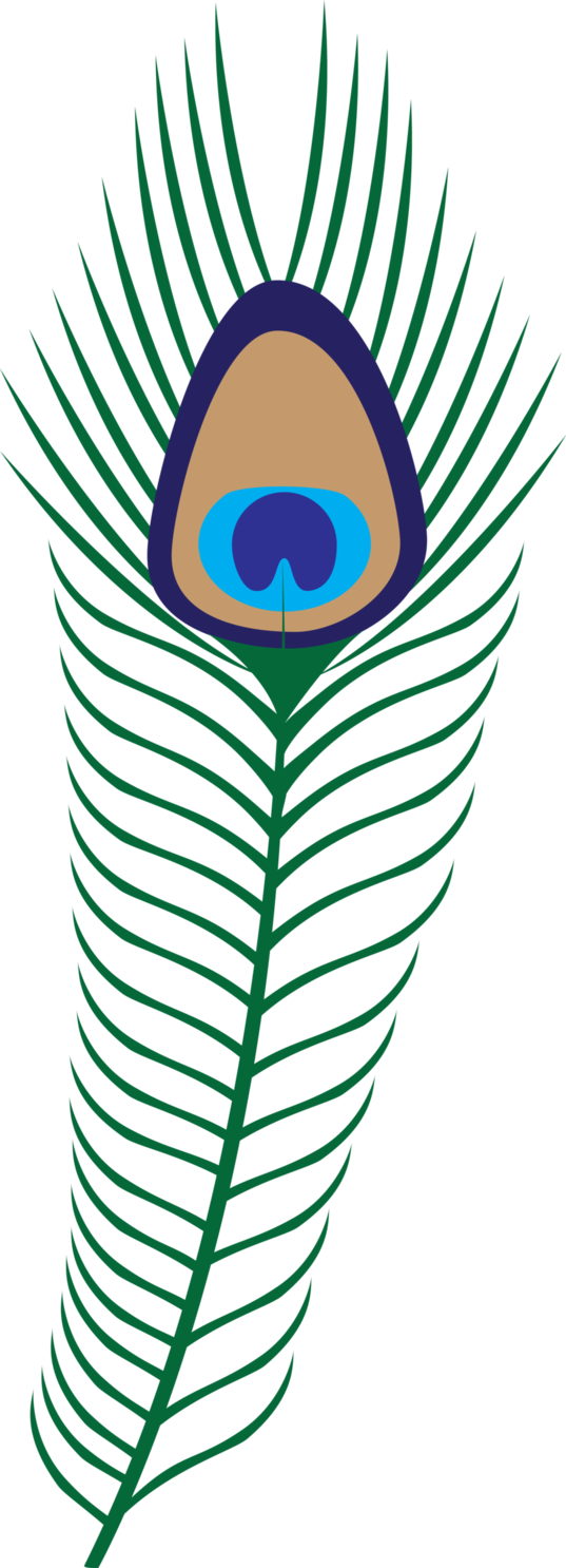 Vector Peacock Feather PNG Pic