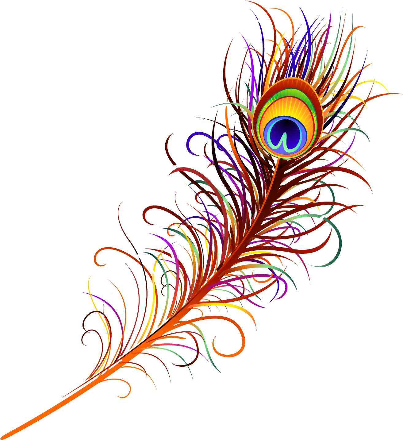 Vector Peacock Feather Transparent Background