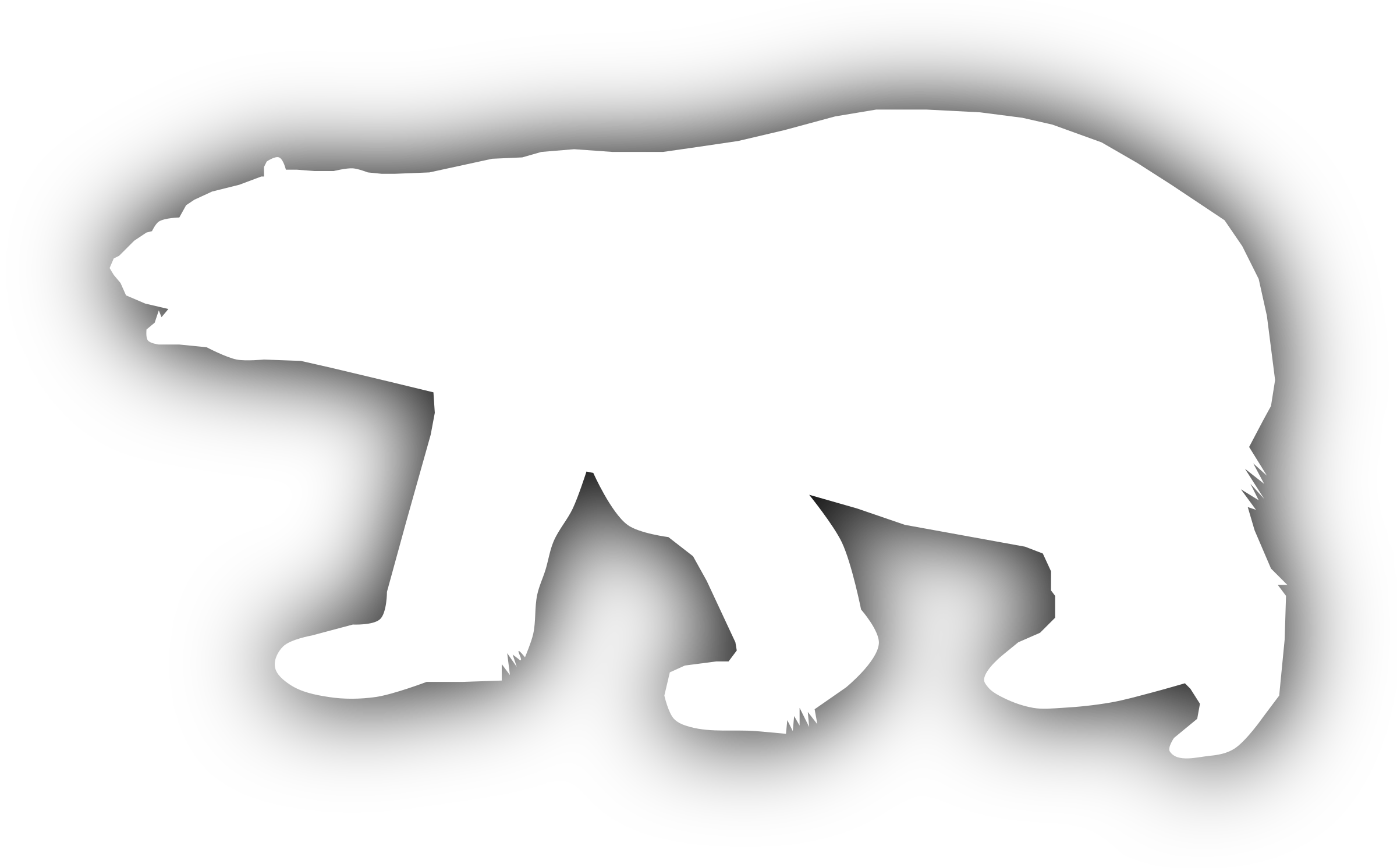 Vektör kutup ayısı şeffaf PNG