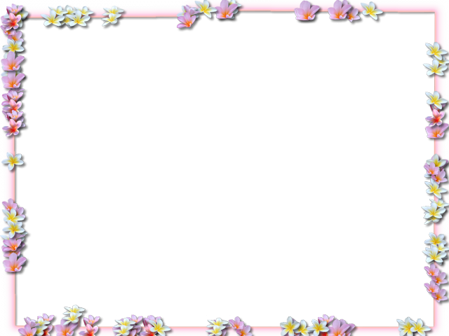 Vector cuadro cuadrado flor marco PNG imagen