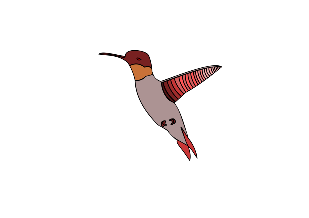 벡터 수채화 hummingbird PNG 클립 아트