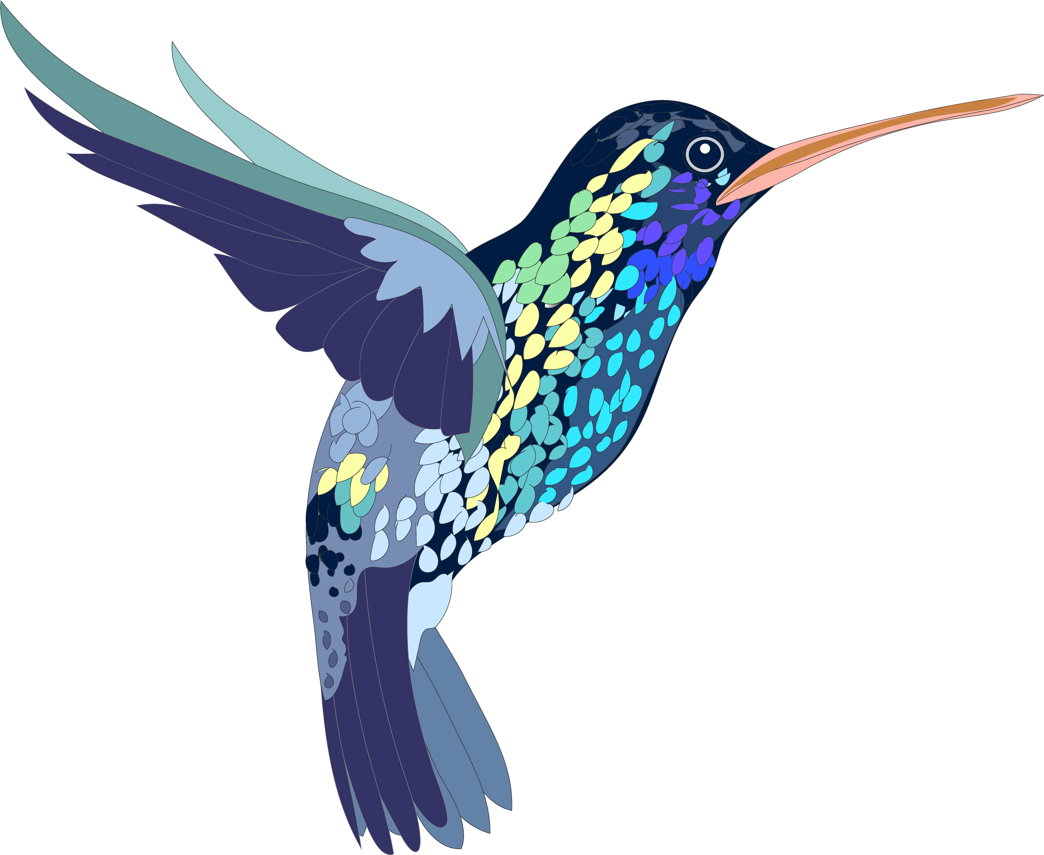Vector Watercolor Hummingbird PNG-fotos