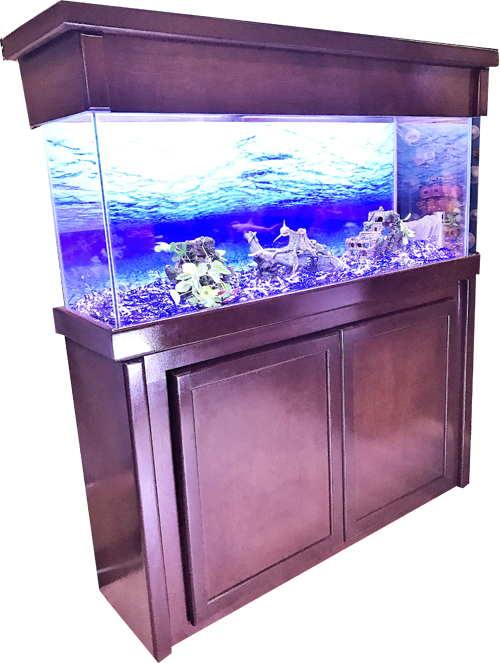 Water Fish Tank Transparent PNG