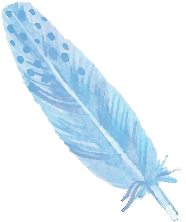Watercolor Feather PNG Clipart