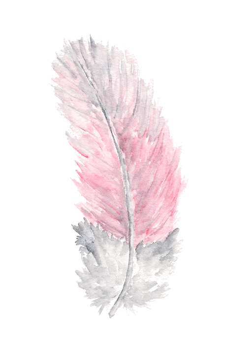 Watercolor Feather PNG Unduh Gratis