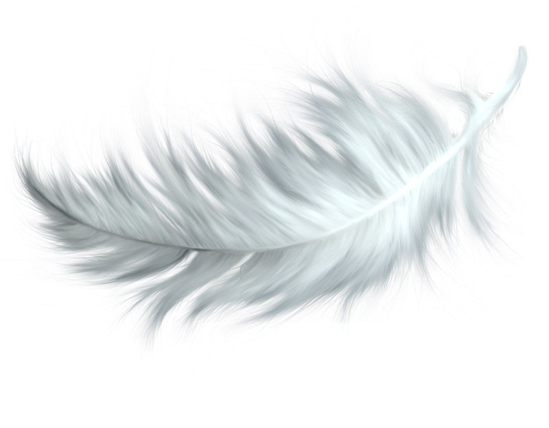 Watercolor Feather PNG HD