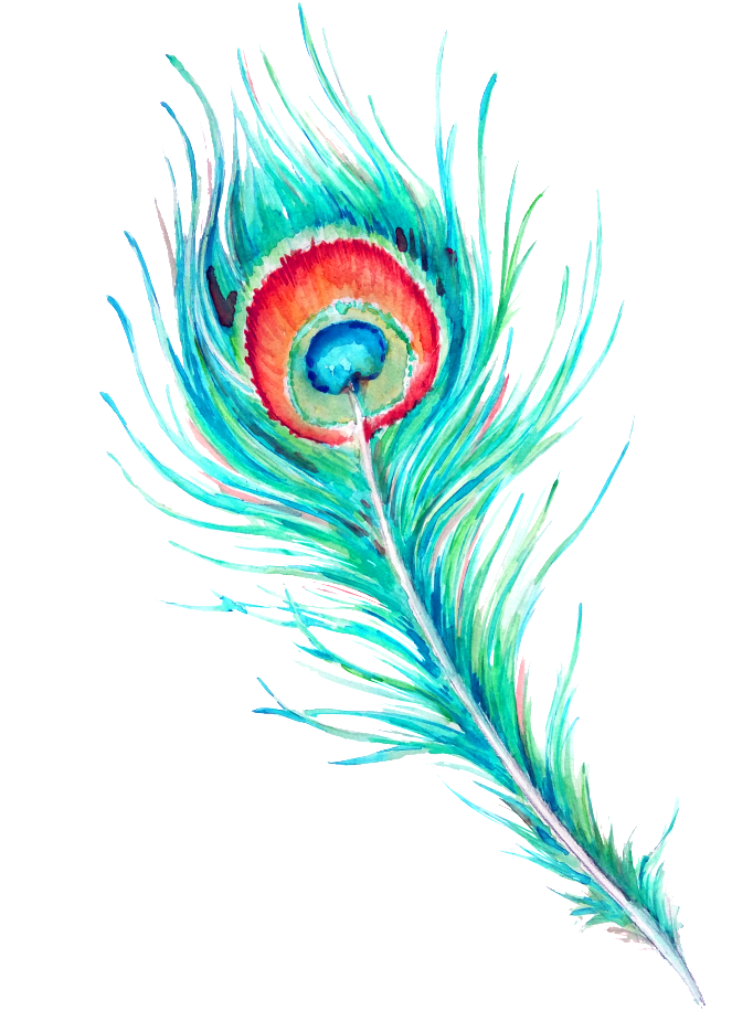 Gambar Watercolor Feather PNG