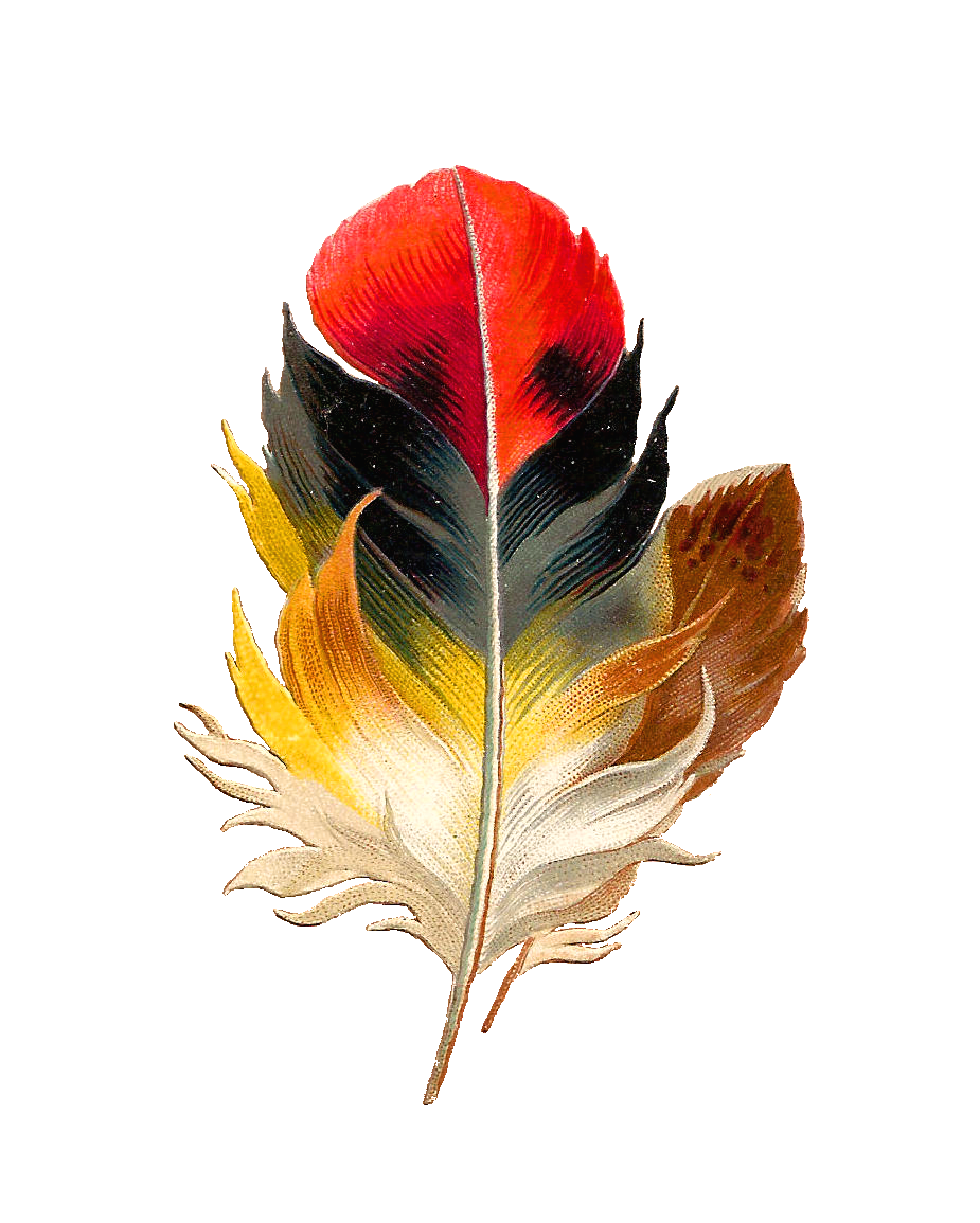 Watercolor Feather PNG Transparent