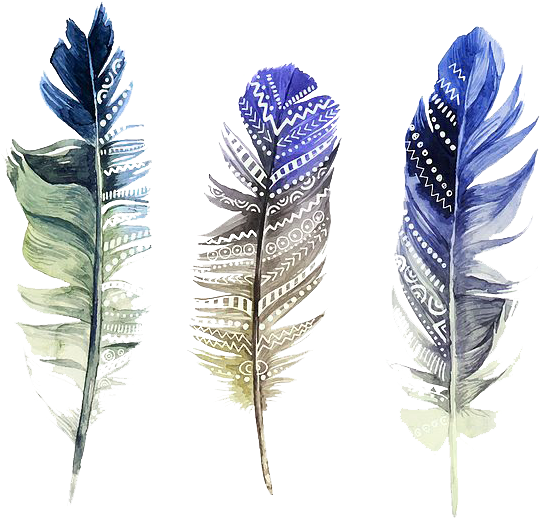 Watercolor Feather Transparent Background