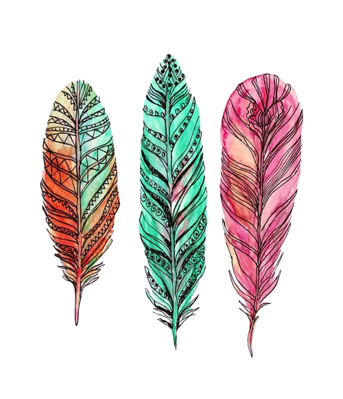 Watercolor Feather Transparent Images PNG