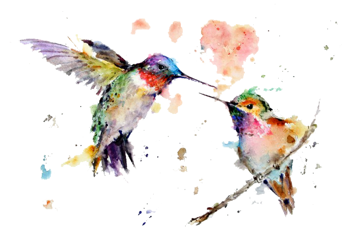 Watercolor Hummingbird PNG Clipart