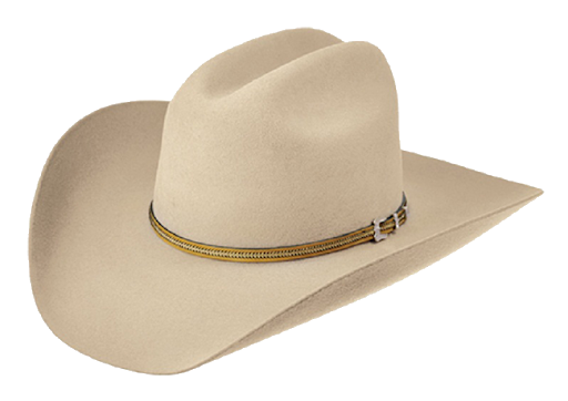 Batı kovboy şapkası şeffaf arka plan