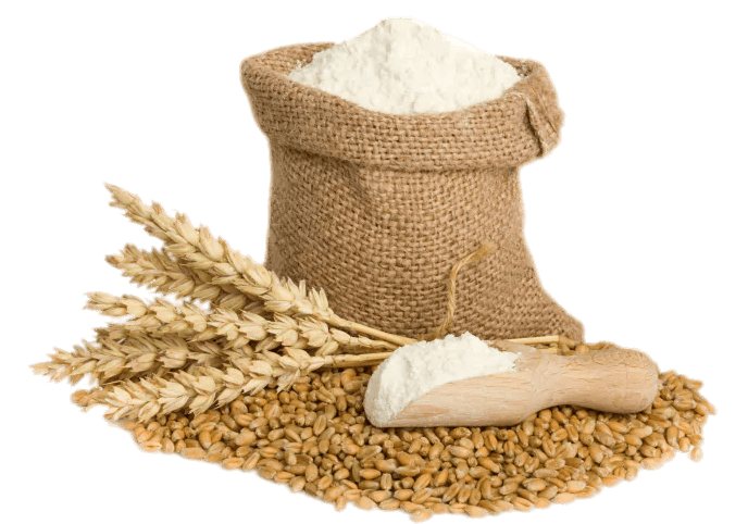 Wheat Vector Flour PNG Image