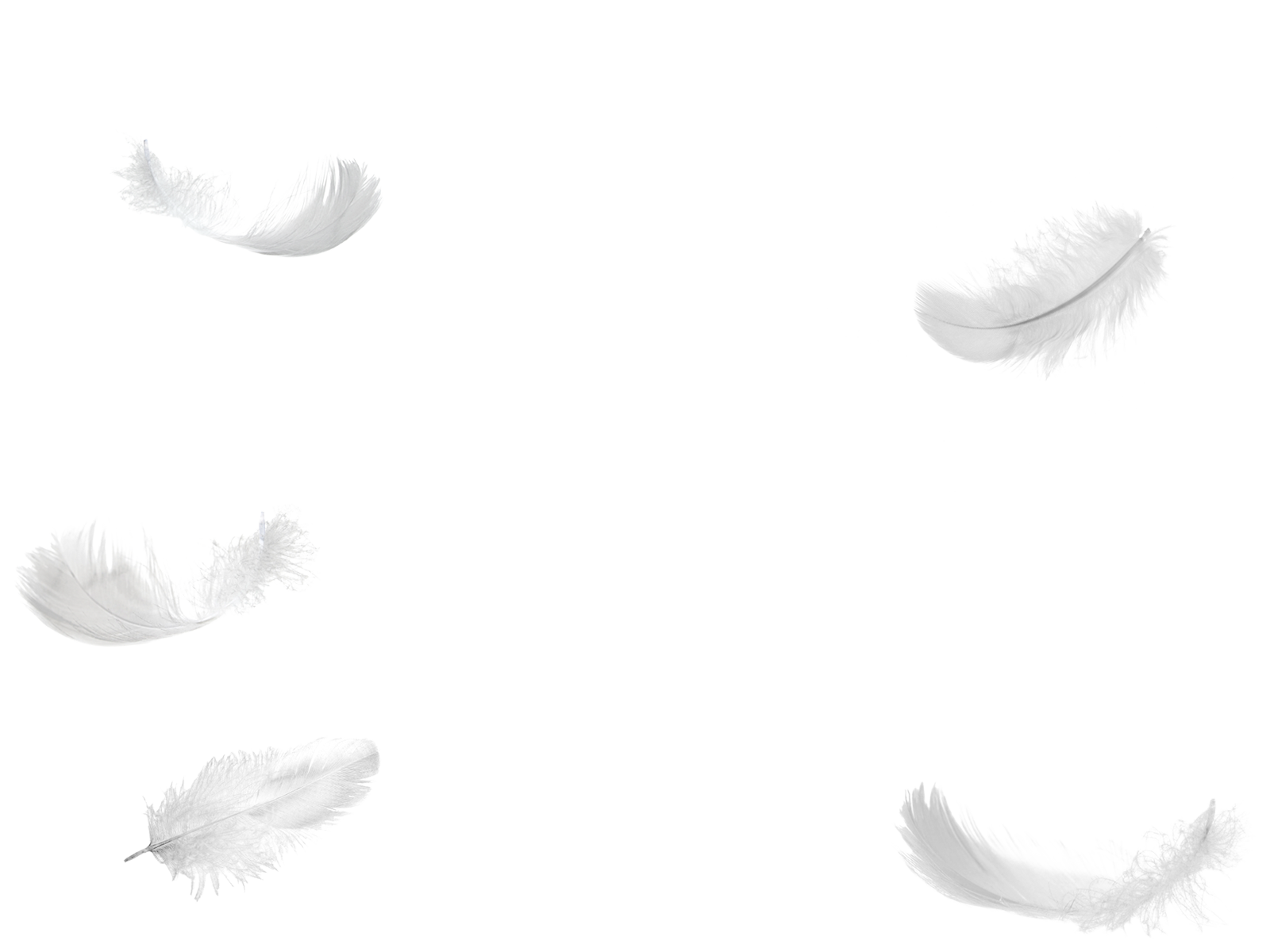 Beyaz tüy Indir PNG görüntü