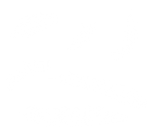 Beyaz tüy PNG Fotoğraf