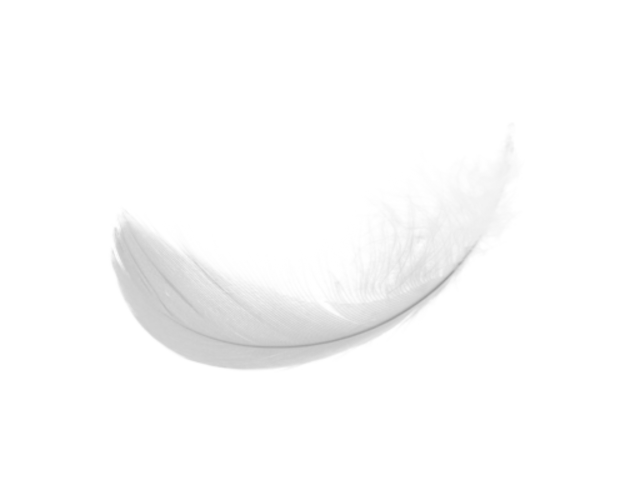 Beyaz tüy PNG resim
