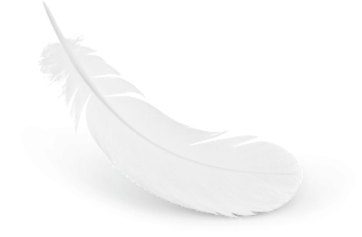 White Pluma PNG transparente