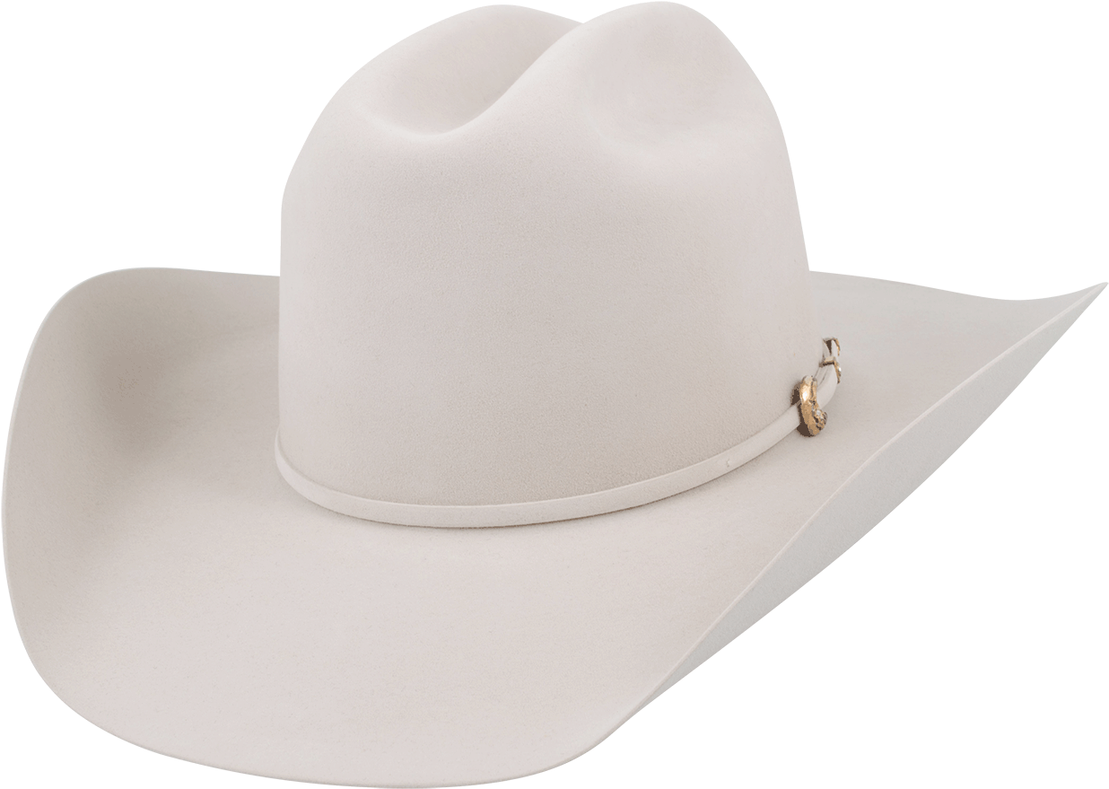 Fichier PNG chapeau blanc