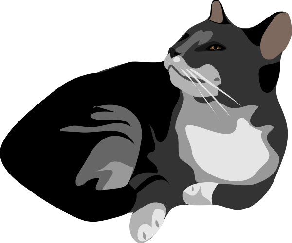 Vahşi kedi vektör PNG şeffaf görüntü