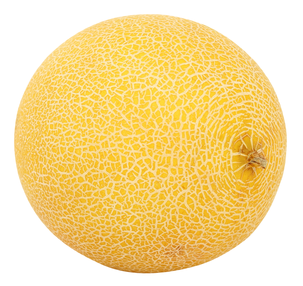 Yellow Cantaloupe PNG Clipart