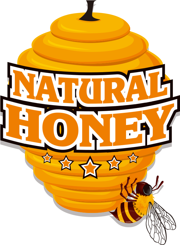 Yellow Honey Bee Vector PNG Photos