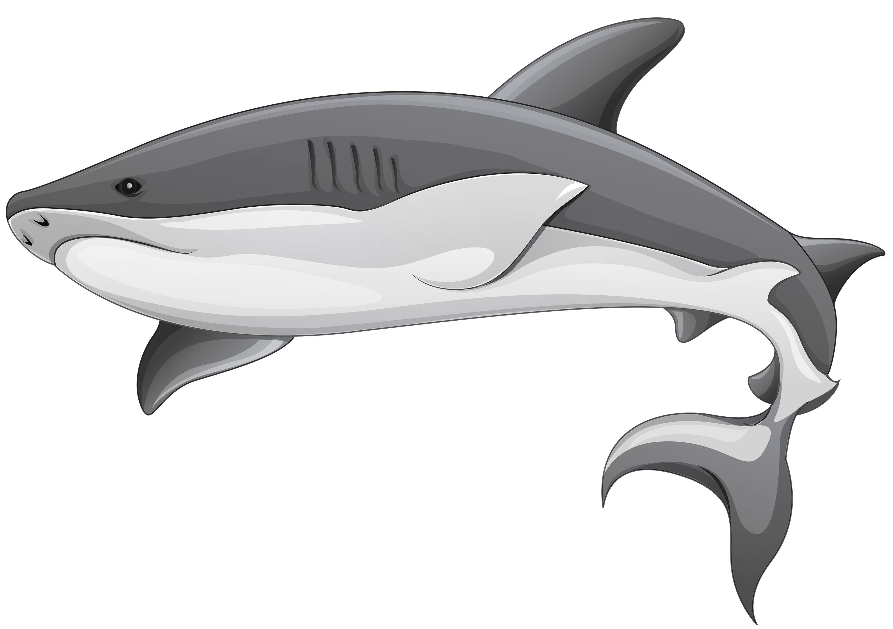 Aquatique Real Shark PNG Clipart