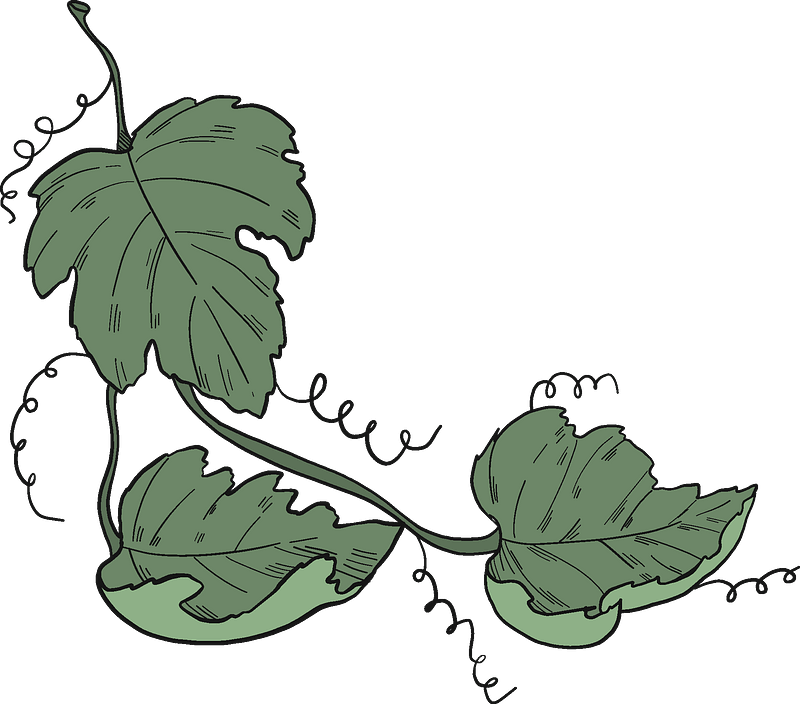 Art Grape Vine Leaf PNG Clipart
