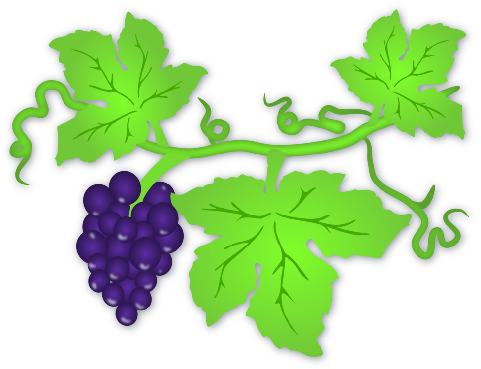 Art Grape Vine Leaf Transparent PNG