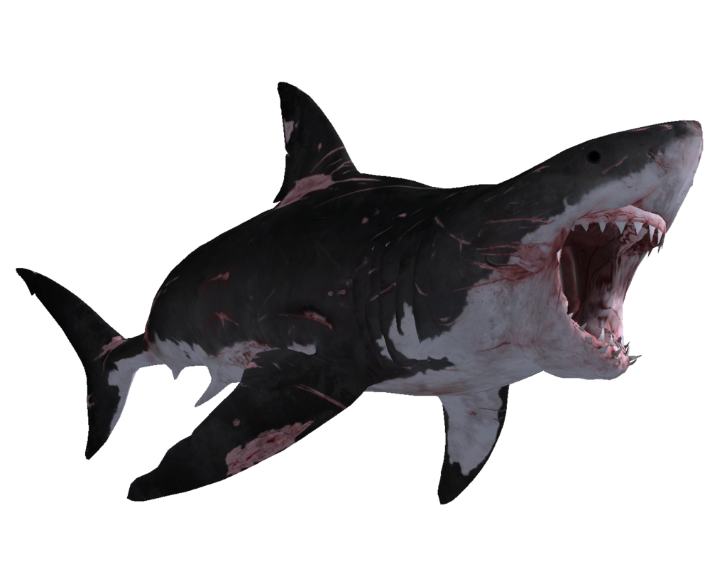 Grote megalodon haai Transparante achtergrond