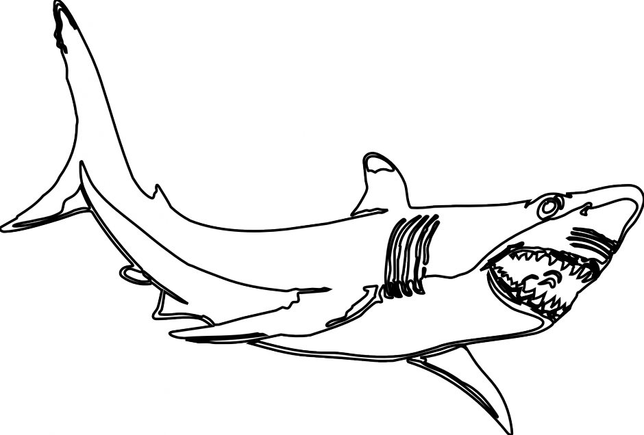 كبير megalodon القرش شفافة PNG