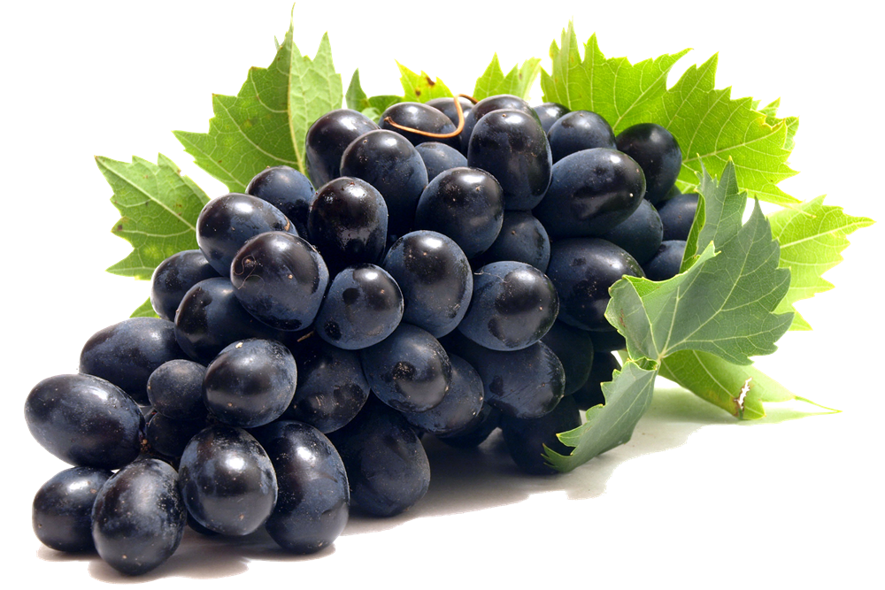 Zwarte druiven PNG-afbeelding