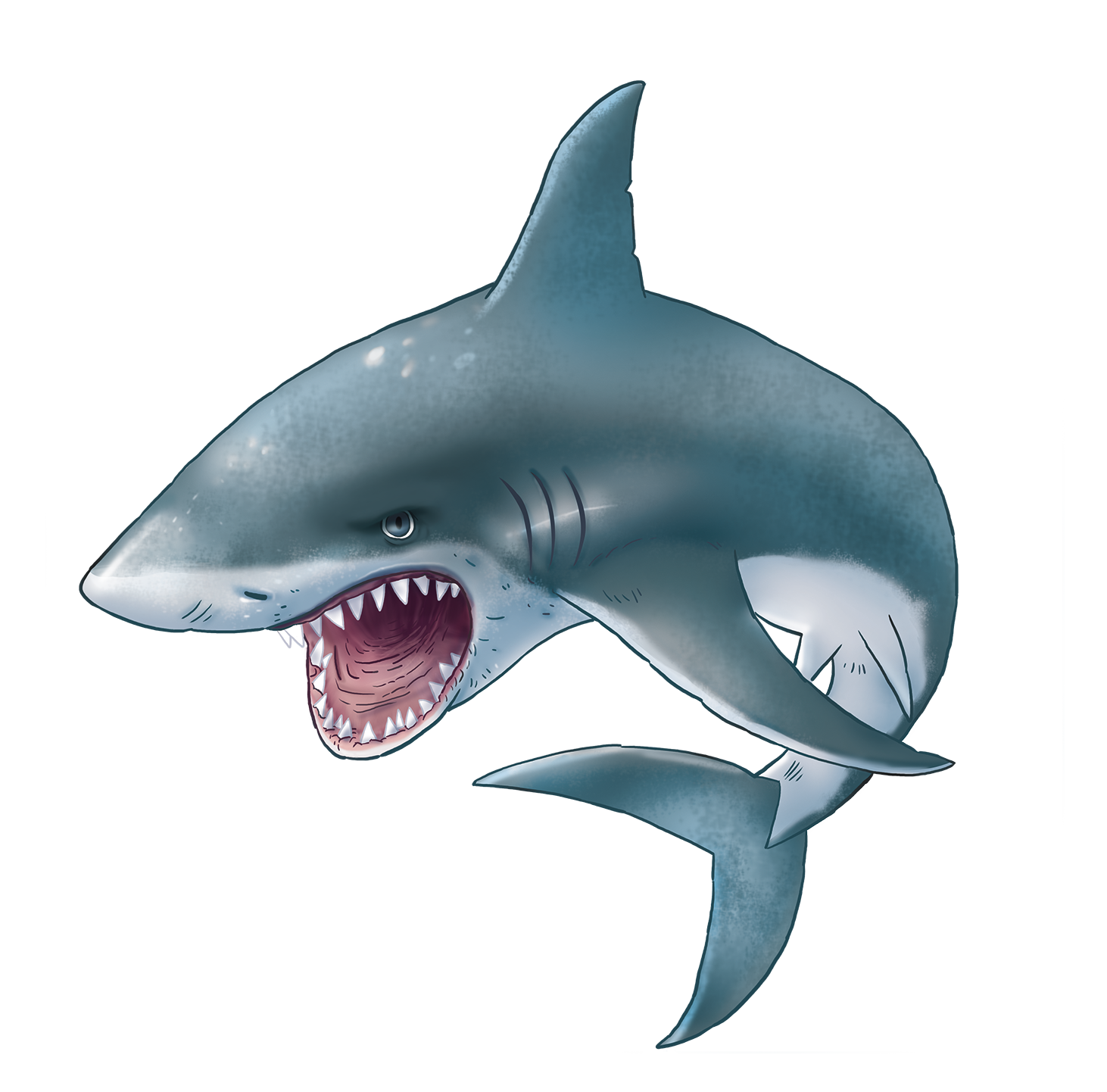 Blue Megalodon Shark PNG Clipart