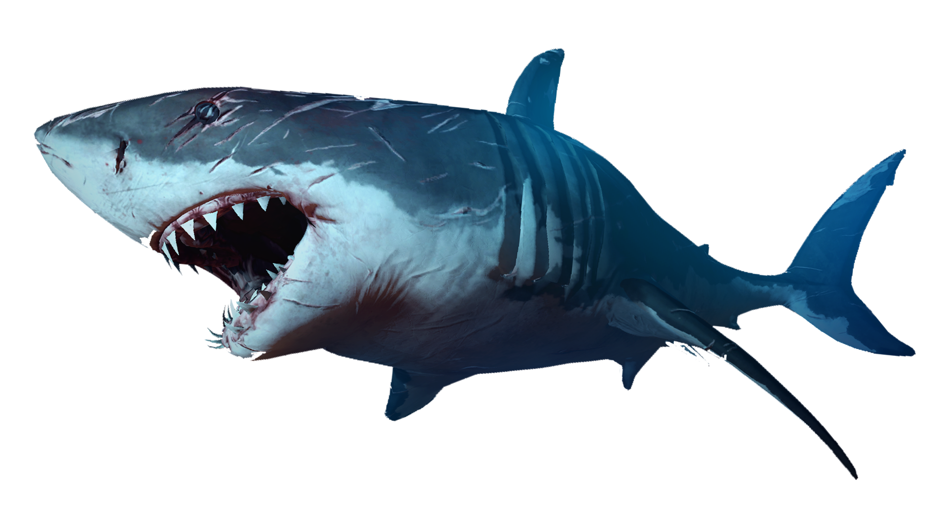 Blue Megalodon Shark Transparent Background