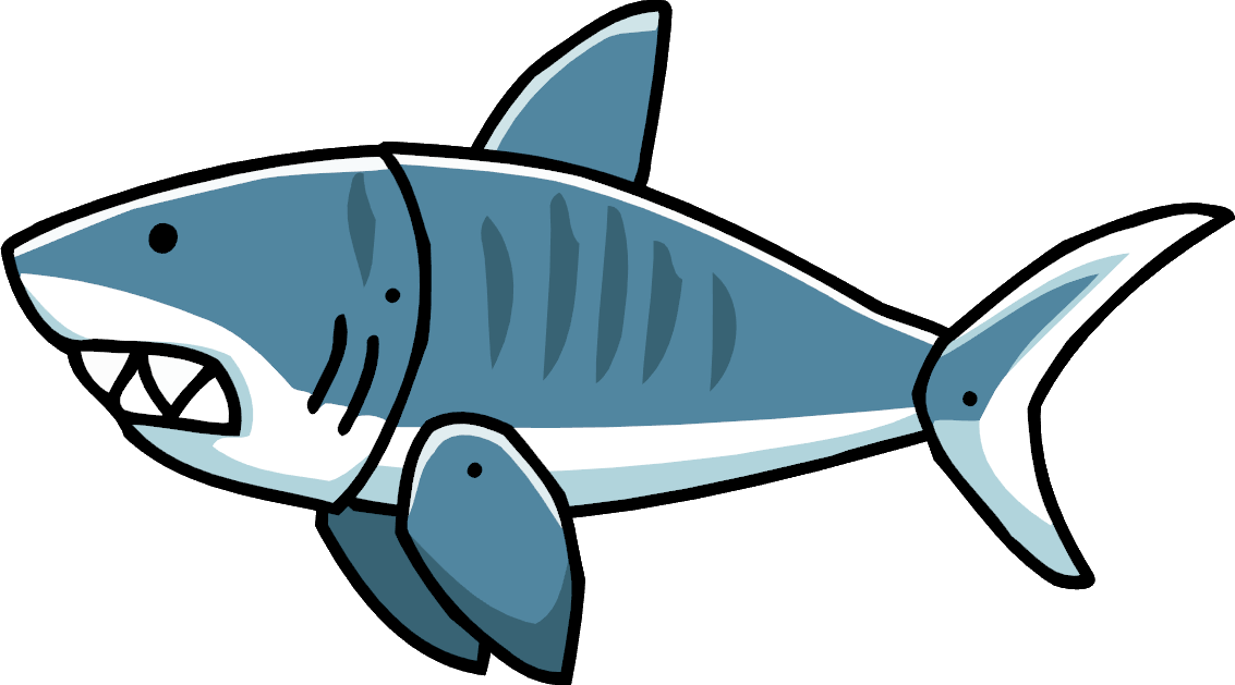 Blue Real Shark PNG Image