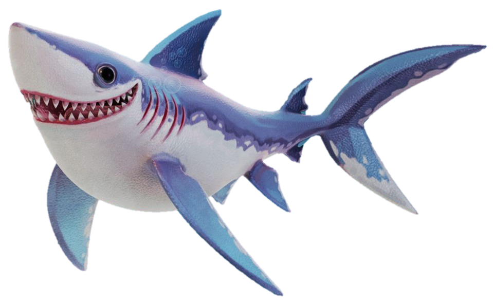 Blue Real Shark Transparent PNG