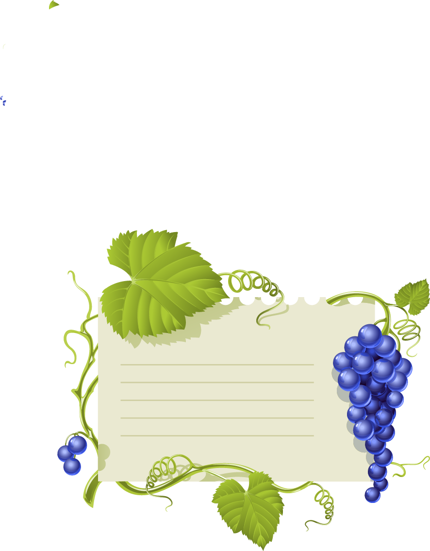 Bunch Grape Vine Leaf PNG File